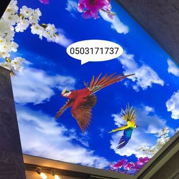 tamet daşları qiymətləri: 3d 5d dartma tavan topdan satış merkezi dartma tavanlar foto oboylar — 4