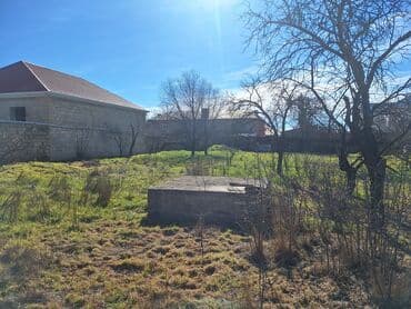 qaradağ rayonu muşfiqabad qəsəbəsində kirayə evlər: Mərəzə, 56 kv. m, 3 otaqlı, Hovuzsuz, Artezian quyusu, İnternet, Telefon — 8