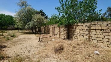 bir sot torpaq nece metrdir: 25 sot, Tikinti, Makler, Kupça (Çıxarış) — 5