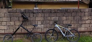 peredok velo: İki müxtəlif velosiped satılır – şəhər gəzintisi və asfaltda sürüş — 1