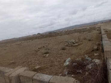 Opel: 10 соток, Купчая — 4