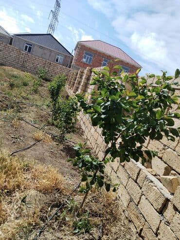 участок в деревне: 4 соток, Купчая — 6