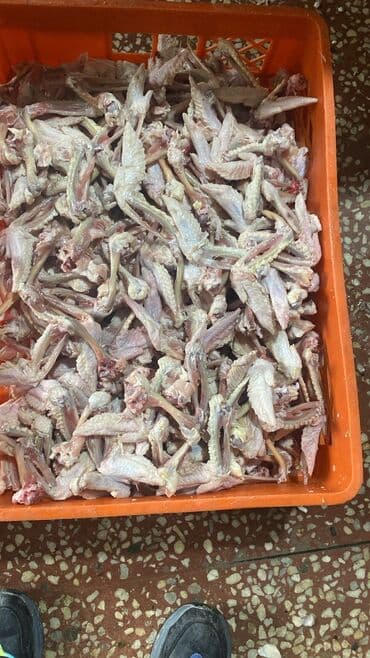 Şampunlar: It yemi. Toyuqun Qabirga ve Bud sumuyu, Toyuq farji. Toyuq qanad — 6