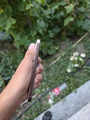 16 pro gold: IPhone 16 Pro, 128 GB, Desert Titanium, Face ID — 4
