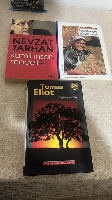 Bədii ədəbiyyat: Kitab dəsti - İlyas Əfəndiyev – Söyüdlü Arx (roman) - Nikkolo — 1