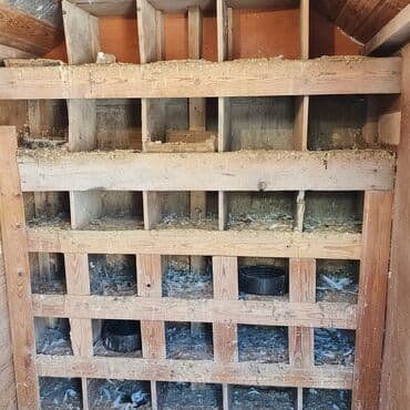 pişik yuvası: Salam Aleykum Quşxana satılır istəyən olsa əlaqə saxlasın .hündürlük — 4