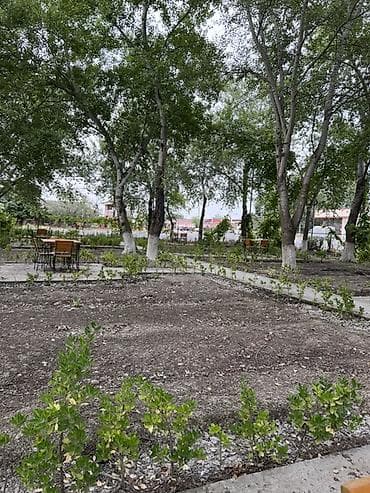 Yaşıllıqla əhatə olunmuş açıq hava istirahət məkanı.Qadın işçi — 1