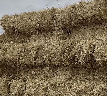 Saman packasi arpa samanidi yaxwi kip paçkalardi quru yerdedi yağiş