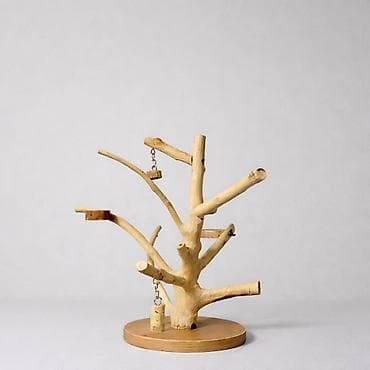 xxn kom: Bir cüt çex Lutino.6 aylıq cavan və sağlam quşlardı. Qəfəs və s hər — 2