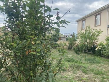 gencede ev alqi satqisi: 4 комнаты, 112 м², Нет кредита, Свежий ремонт — 11