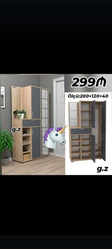 Ev üçün digər mebel: Dəhliz dolabı — 1