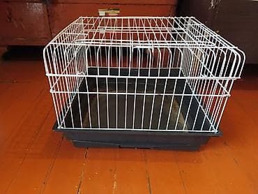 qəfəs böyük: Geniş və rahat heyvan qəfəsi.Hamster, dəniz donuzu və digər — 6