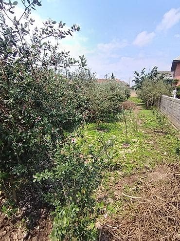 masazir heyet evi: 5 otaqlı, 150 kv. m, Orta təmir — 10