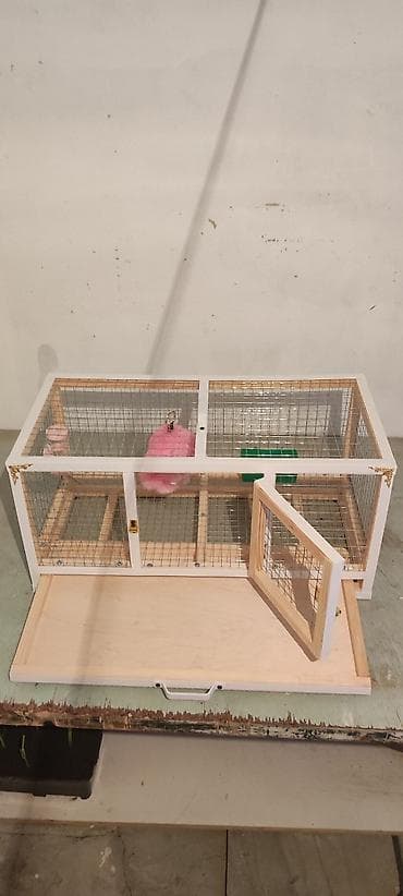 cucə yem qabı: Dovşan,cücə,pişik,hamster,quş ve s kimi ev heyvanlari üçün qəfəsler — 5