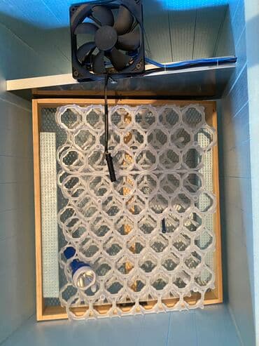 arpa toxumu satışı: 120 dene toyuğ 100 ördəy 50qaz 250bildirçin yumurtası gedir tezedir — 4