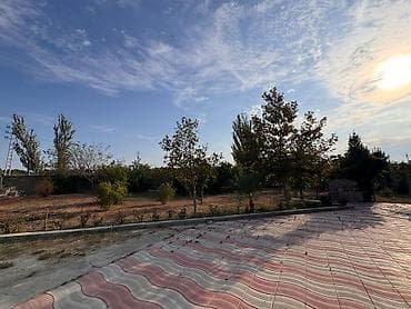 topaq: 4 sot, Mülkiyyətçi, Kupça (Çıxarış) — 5