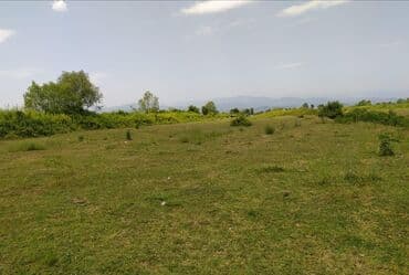 купить квартиру в ленкоране: 75 sot, Biznes üçün, Mülkiyyətçi, Kupça (Çıxarış) — 2