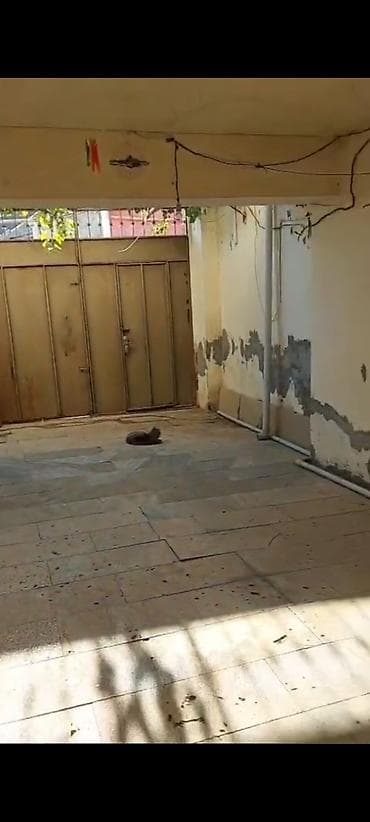 60 м², 2 комнаты, Комби, Газ, Электричество — 1