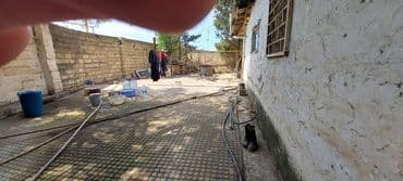 kiridit ev: Sahəsi geniş, yaşıllaşdırılmış həyəti olan bina. Həyətdə ağaclar — 9