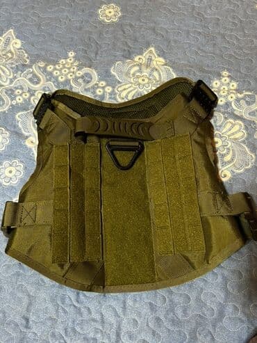 enzo шампунь отзывы: İt aksesuarları dəsti, tek tek qiymetler qeyd edilib endirim yoxdur — 3