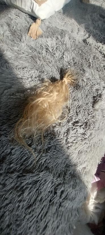 107 ekran televizor: Saclar — 2