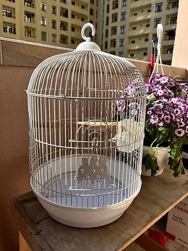 Ağ rəngli dairəvi quş qəfəsi su qabı verilir üsdündə - Material