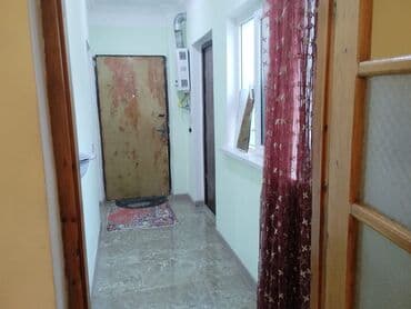 kirayə ev bine: Binə, 40 kv. m, 2 otaqlı, Qaz, İşıq, Su — 5