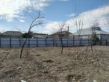 bine torpaq satilir: 6 sot, Tikinti, Mülkiyyətçi, Kupça (Çıxarış) — 4