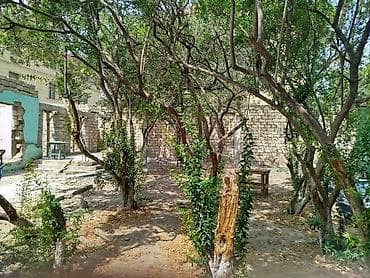 Дачи: Для строительства — 5