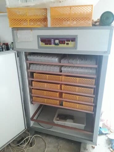 dərman ciləyən aparat: 1100 yumurta, Fabrik istehsalı, Tam avtomat, Bütün növ quşlaq üçün — 4