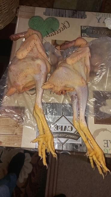 8 manat colpa baki ve rayolara gondris var ceki 0.850 qr 1kq arasi