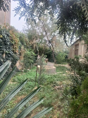 🏡📌 Torpaq sahəsinin satışı – investisiya və yaşayış üçün uyğundur 600