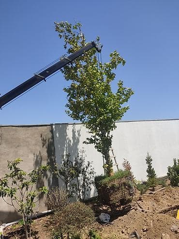 azerbaycanda belarus traktor satisi: Avtokran xidməti – yükqaldırma və montaj işləri - Yükqaldırma: metal — 5