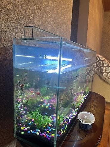 Птицы: Прямоугольный аквариум, Вместе с рыбами, 88 л — 3