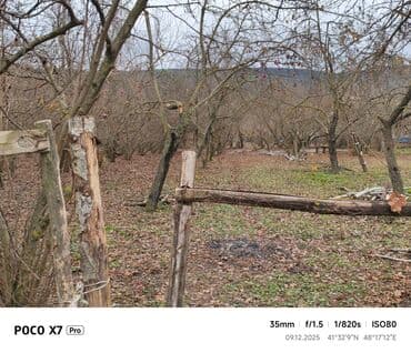 xankəndi evlər: Kənd təsərrüfatı — 4