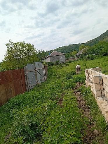 şirvanda torpaq satışı: 12 sot, Tikinti, Mülkiyyətçi, Kupça (Çıxarış) — 9