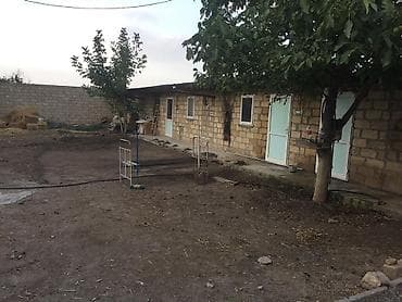 Biznes üçün avadanlıq: Quşçuluq təsərrüfatı və yardımçı yaşayış sahəsi - Geniş həyətyanı — 6