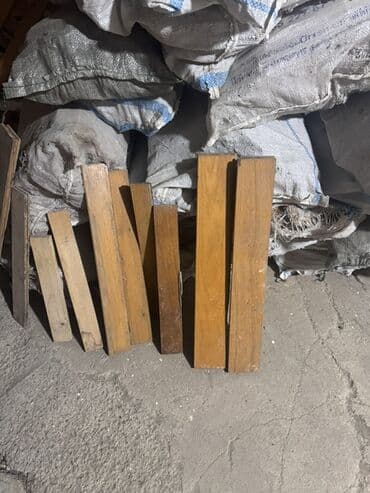 Комнатные растения: Parket ünvan masazır — 4