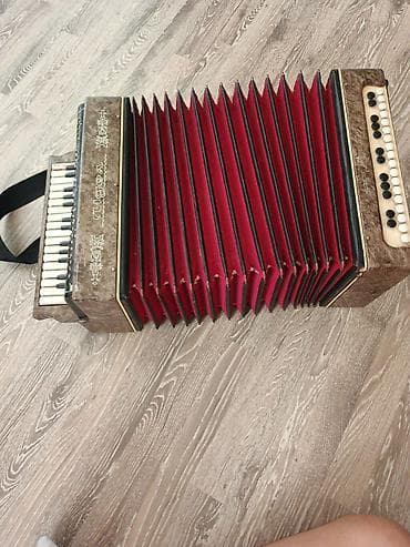 Akustik Akkordeon, İşlənmiş — 2