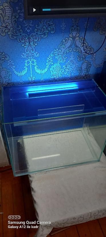 akvarium yumru: Salam istənilən ölçüdə akvarium ən azı 30 litrdən yuxarı münasib — 1