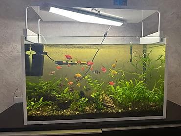 akvarium qrunt: Komplektdə görünən əsas hissələr: - Şüşə akvarium - Üst hissədə — 7