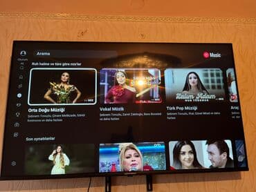 Televizor Hoffmann 50" Ünvandan götürmə — 3