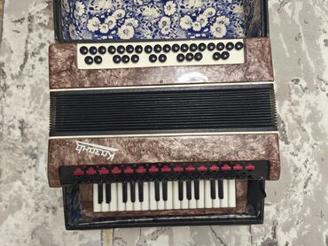 uşaq akkordeonu: Akkordeon, Pulsuz çatdırılma — 2