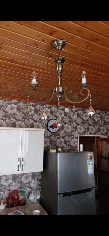 Bitkilər: Çılçıraq — 1