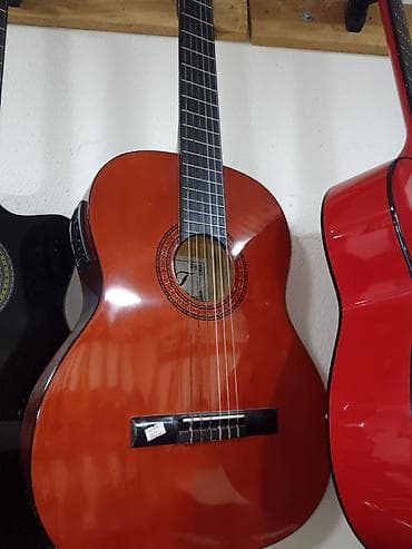 klasik gitara: Klassik elektro gitara — 1