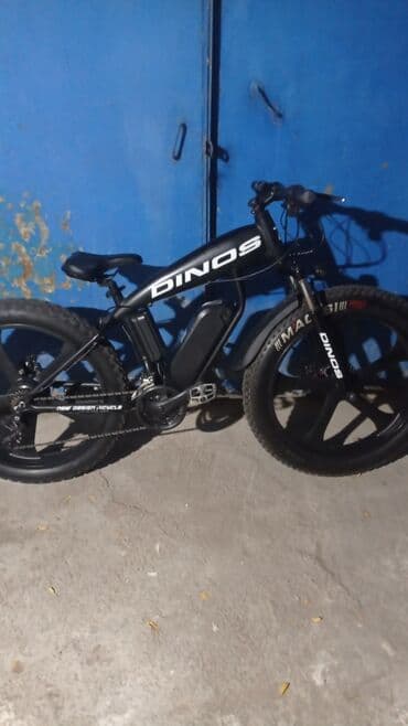 elekdirikli sukutur: Yeni Elektrik velosipedi 29", 750 < Vt — 4