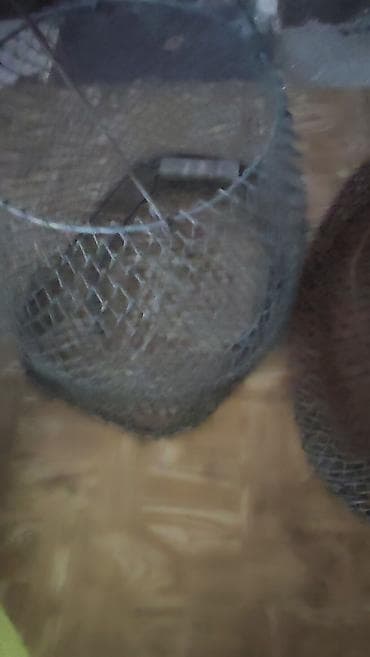 Quşlar: TəDiqqət Qədimi setkalar. bunlarda yaxşı yemək saxlamaq asmaq cox — 3