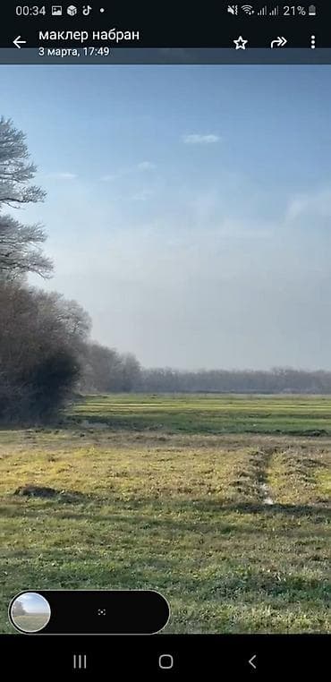 54 sot, Kənd təsərrüfatı, Maklerlər narahat etməsin, Kupça (Çıxarış) — 3