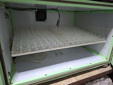 inkubator 56: Avtomatik inkubator – rəqəmsal idarəetmə paneli ilə - Model üzərində — 2