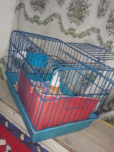 ev dovşan: Heyvan qəfəsi və aksesuar dəsti - Material: mavi metal karkas, möhkəm — 5